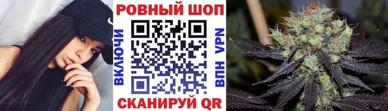 ТГК Сальск