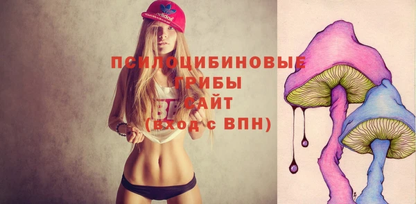 а пвп мука Нея