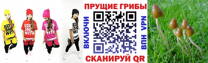 Псилоцибиновые грибы мицелий  ОМГ ОМГ   Сальск  купить  цена 